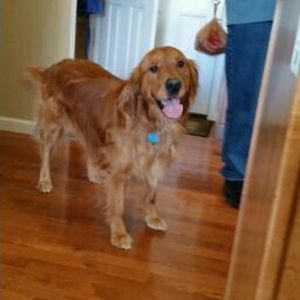 Meet your Posher, Christy